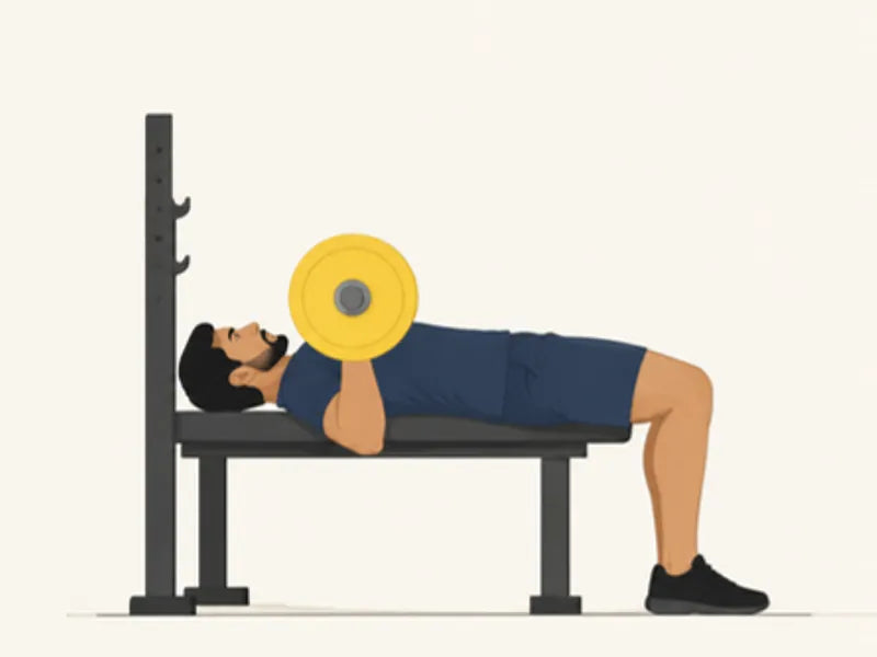 Barbell bench press: finish, bar lowered to the chest