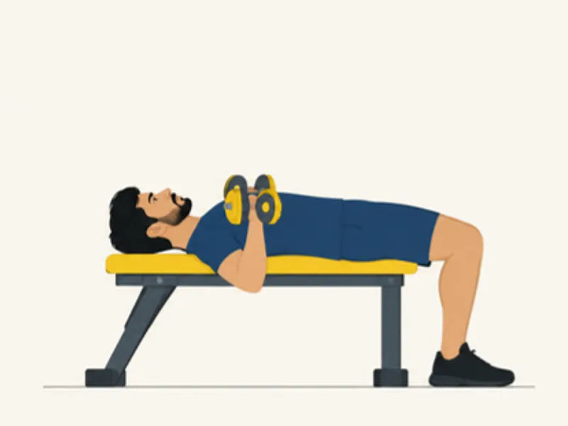 Dumbbell bench press: finish, dumbbells lowered to the chest