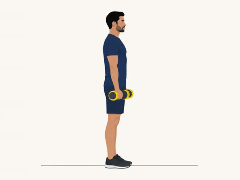 Dumbbell biceps curl: start, arms straight