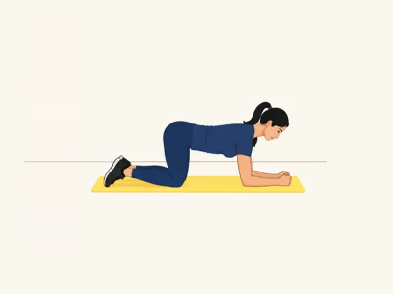 Forearm plank: start, on knees and forearms