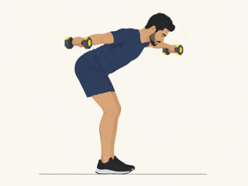 Bent-over rear delt fly: finish, arms raised out to the sides