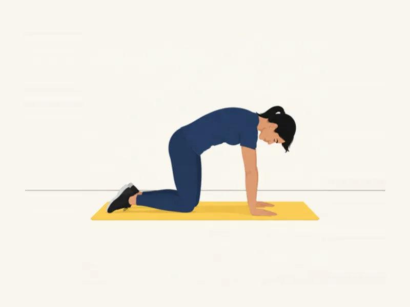 Cat-cow: start, back rounded up